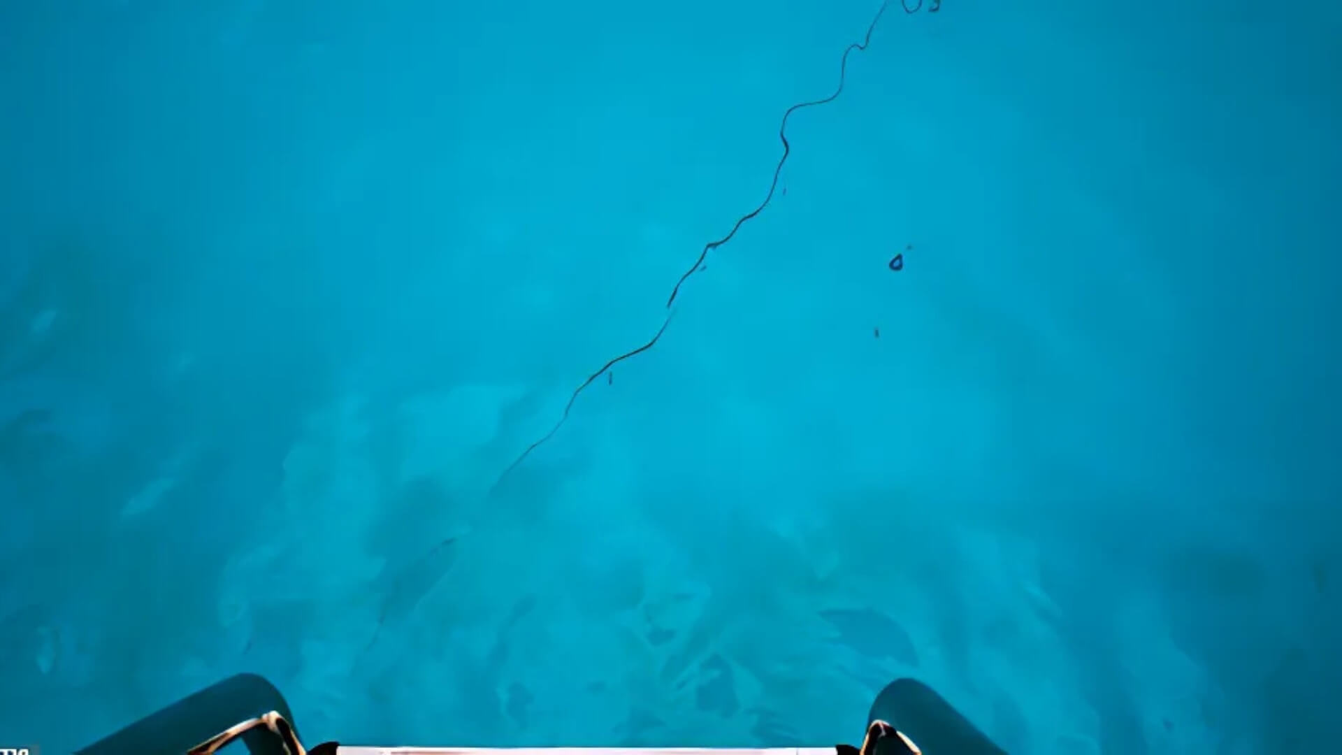 During Pool Inspections